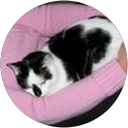 Marja de Boer profielfoto