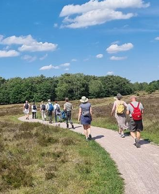 Een groep mensen wandelt op een zonnige dag over een pad door een heidelandschap met bosachtige omgeving.